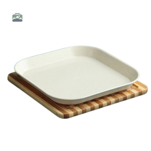 Assiette écologique pour repas en extérieur