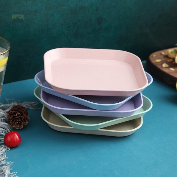 Assiette parfaite pour vos repas en nature