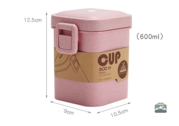 Boîte pratique 600 ml pour repas au micro-ondes