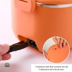 Lunch Box chauffante portable pour le bureau ou les voyages