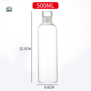 Bouteille en verre élégante pour un style de vie sain