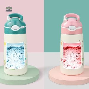 Gourde lion pour enfant, idéale pour les sorties