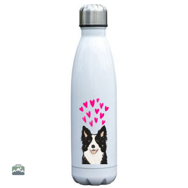 Gourde pour animaux, inox durable et pratique