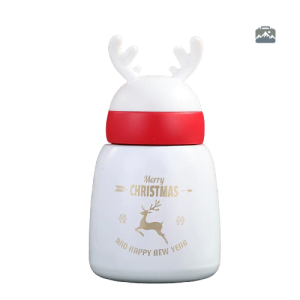 Gourde inox avec motif de Noël
