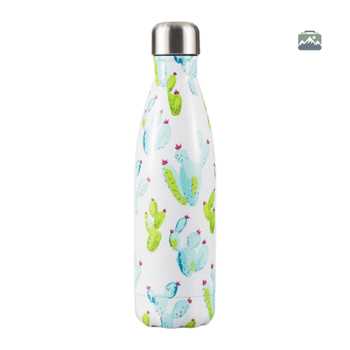 gourde-isotherme-cactus-1 Gourde Isotherme Cactus design moderne et pratique