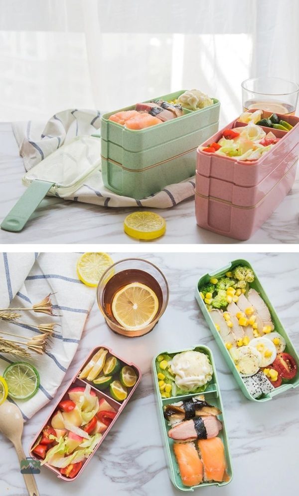 Récipient à lunch 900ml avec plusieurs compartiments