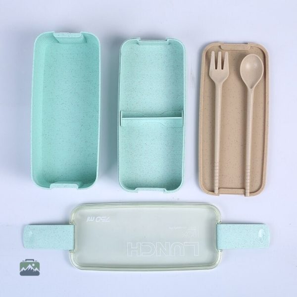 Boîte à lunch verte, parfaite pour les repas organisés